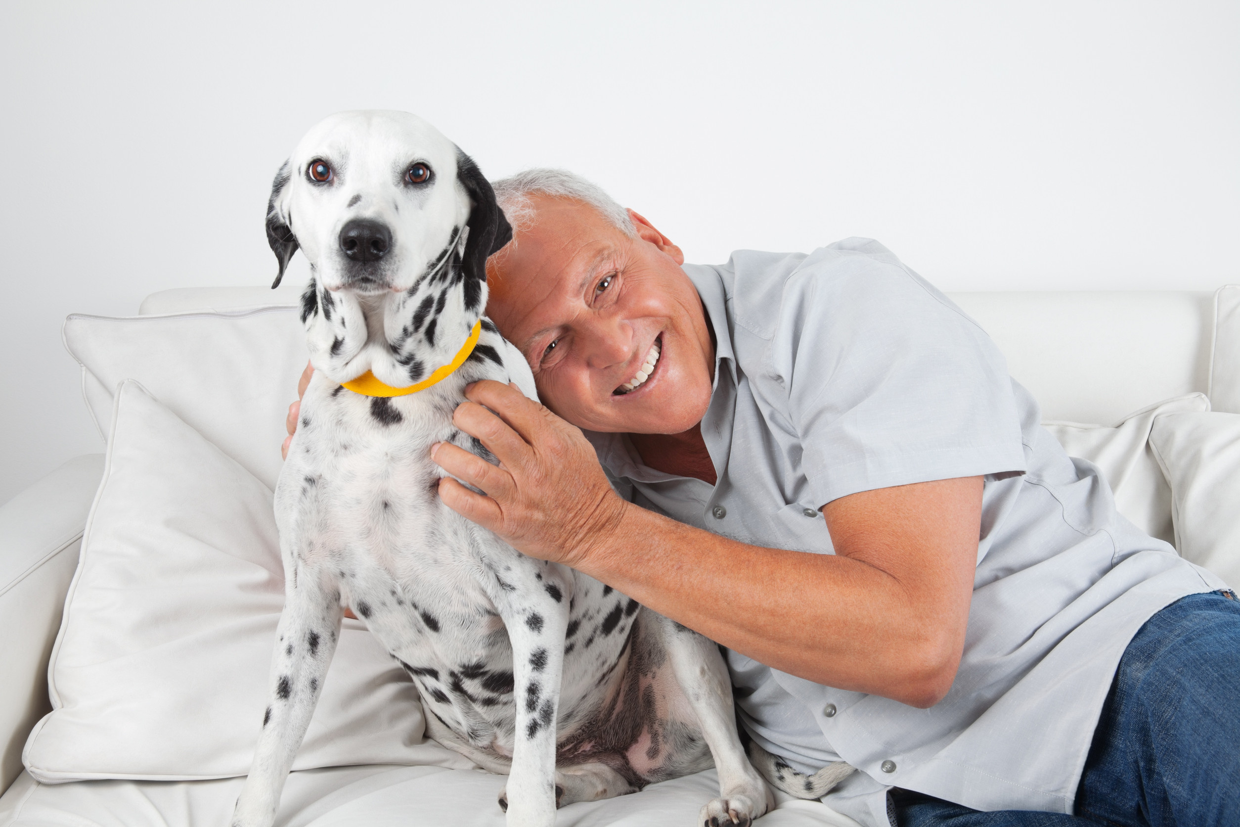pet