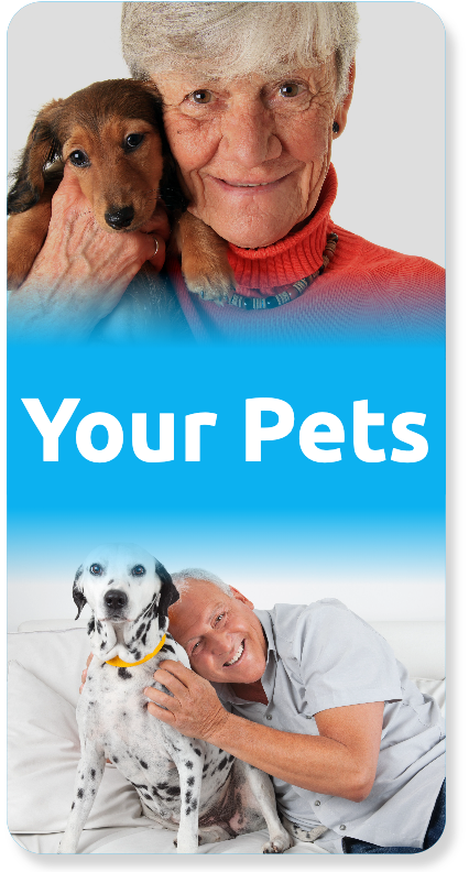 pets